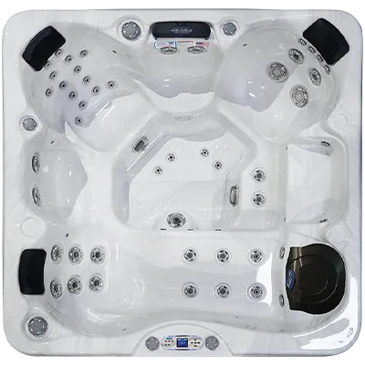 Avalon EC-849L hot tubs for sale in Mill Villen