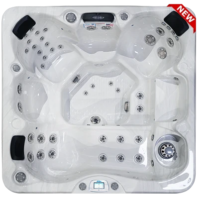 Avalon-X EC-849LX hot tubs for sale in Mill Villen